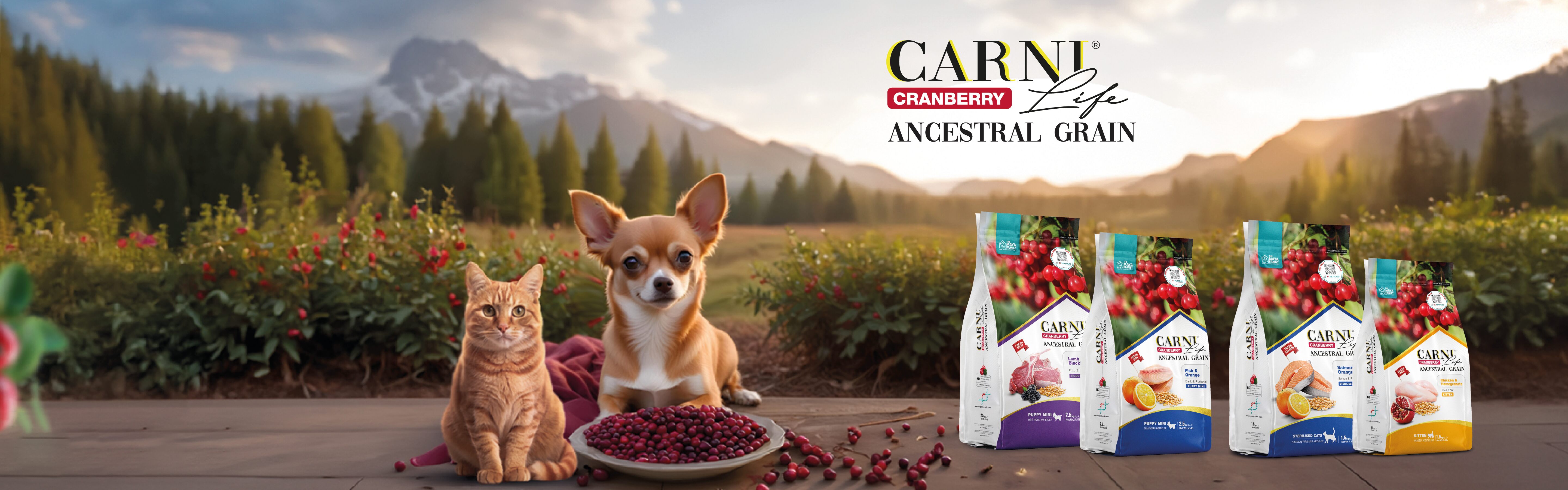Carni Life Cranberry Banner