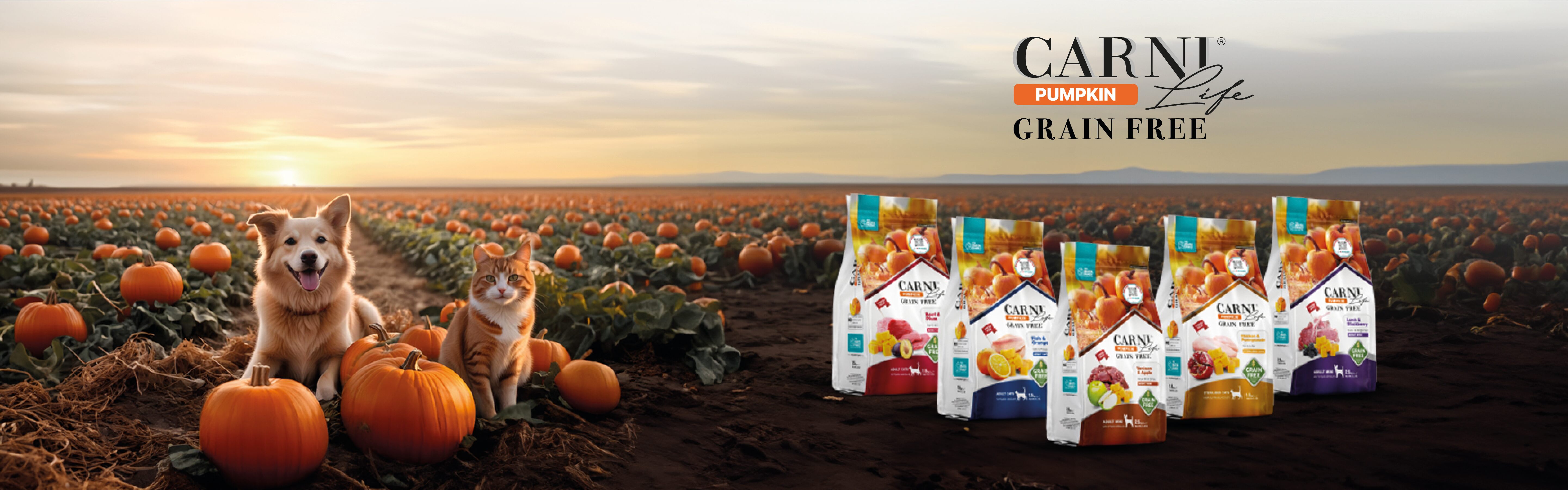 Carni Life Pumpkin Banner