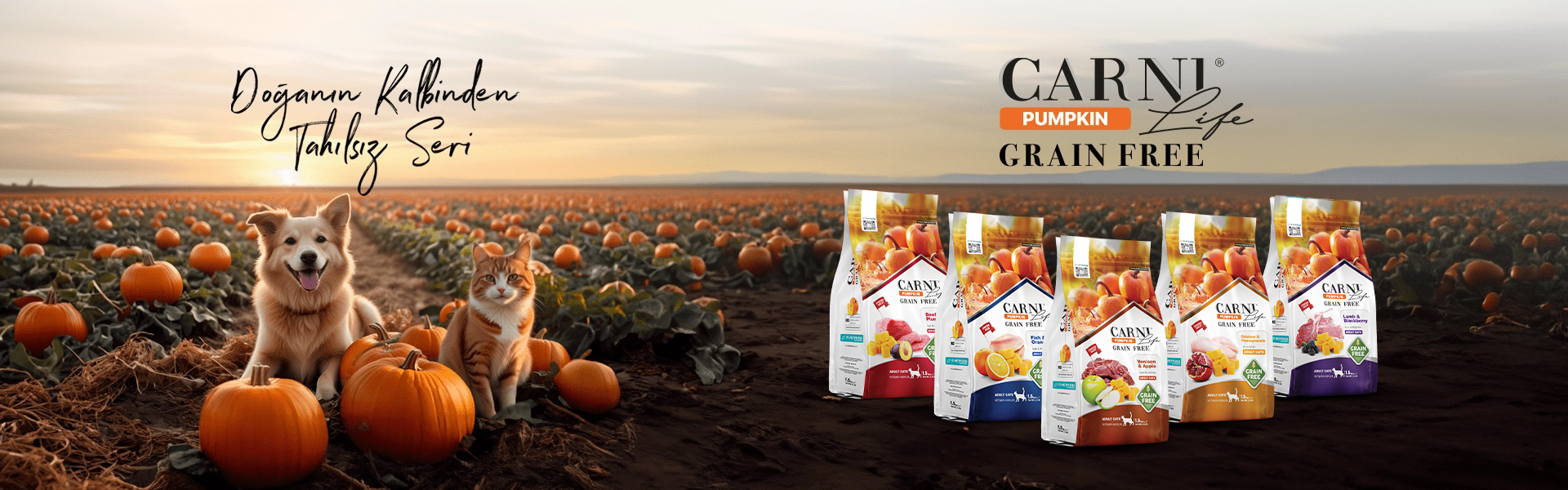 Carni Life Pumpkin Banner