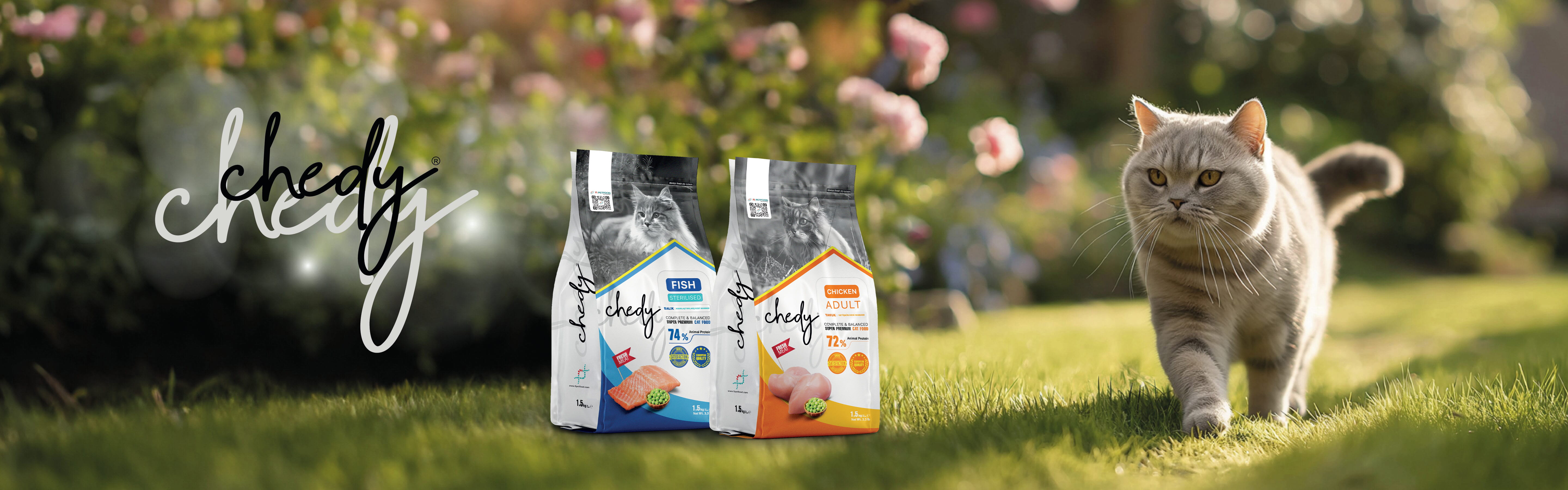 Chedy Banner