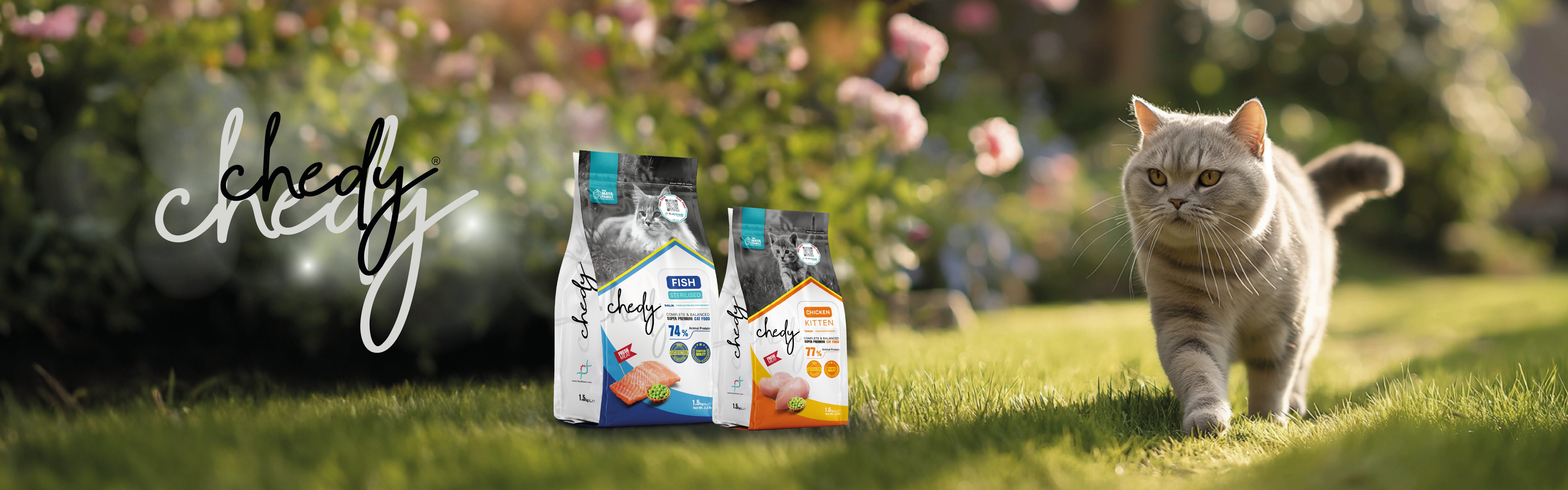 Chedy Banner