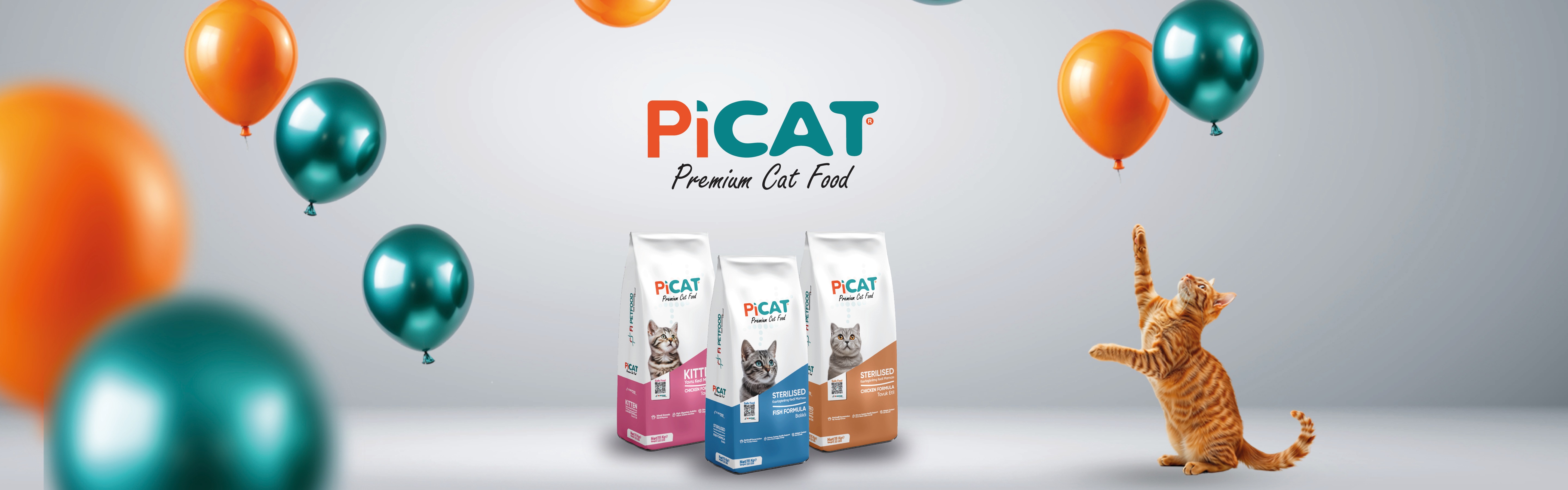 Pi Cat Banner